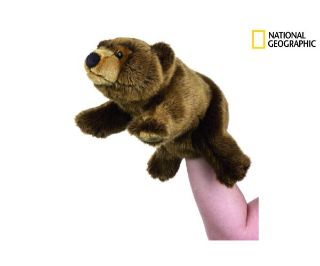 Obrázek z National Geographic maňásek medvěd   